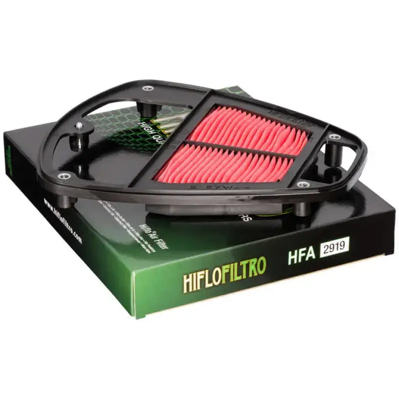 HFA2919 Air Filter 