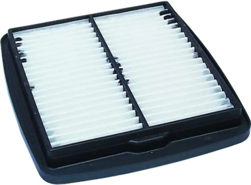 HFA3605 Air Filter 