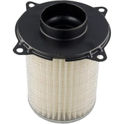 HFA3803 Air Filter 