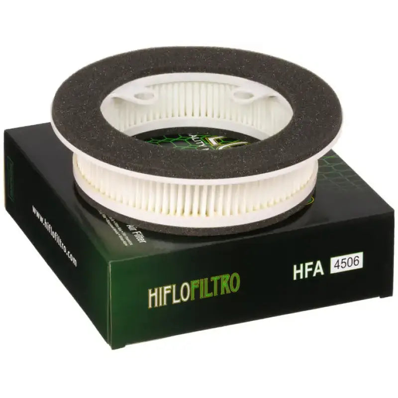 HFA4506 Air Filter 