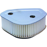 HFA4703 Air Filter 