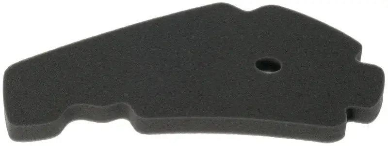 HFA5201DS Air Filter 