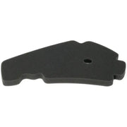 HFA5201DS Air Filter 