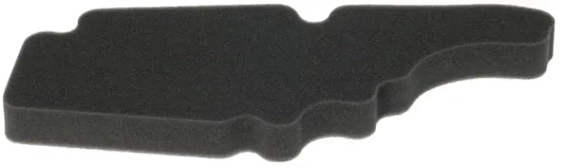 HFA5202DS Air Filter 