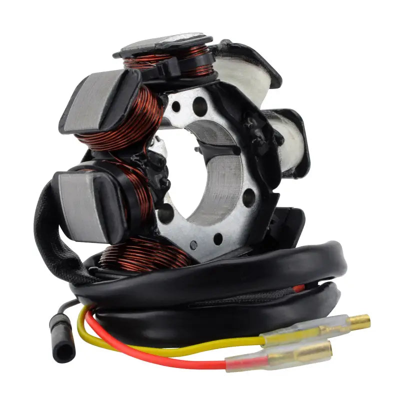 Stator Stator+Connector - RM STATOR