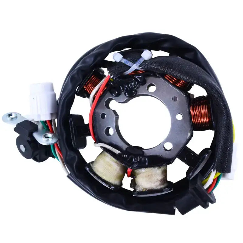 Stator Stator+Pickup+Connector - RM STATOR
