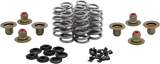 Beehive Valve Spring Kit .640 Lift M8`17 24 Non Vvt - KPMI