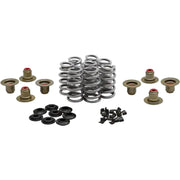 Beehive Valve Spring Kit .640 Lift M8`17 24 Non Vvt - KPMI