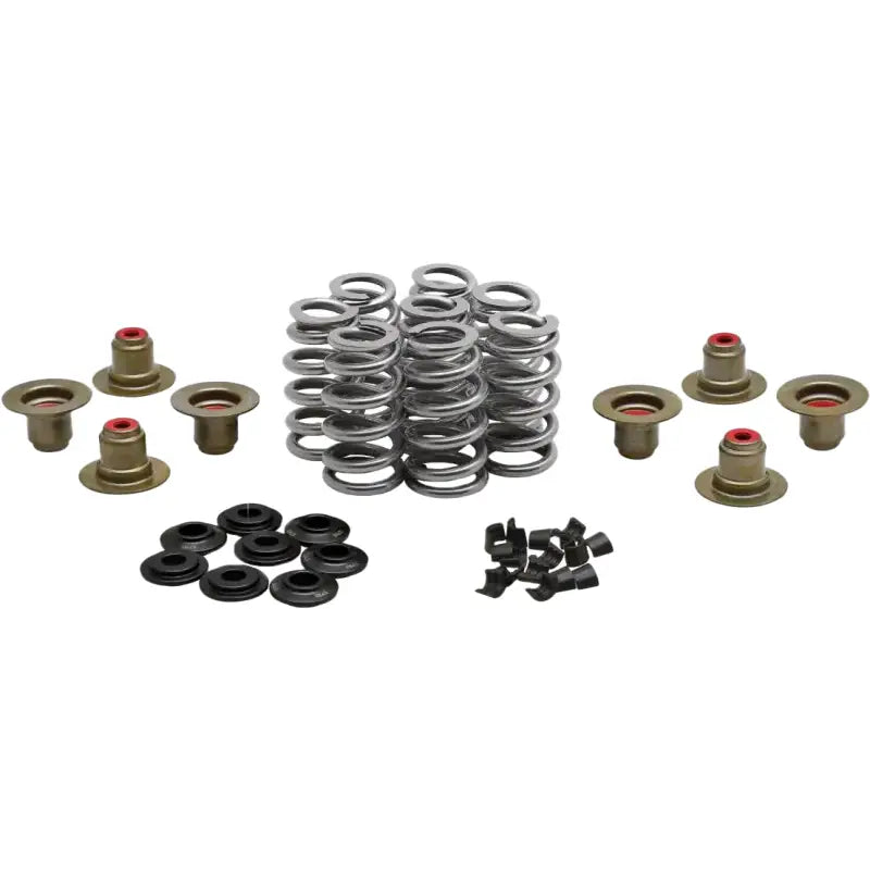 Beehive Valve Spring Kit .640 Lift M8`17 24 Non Vvt - KPMI