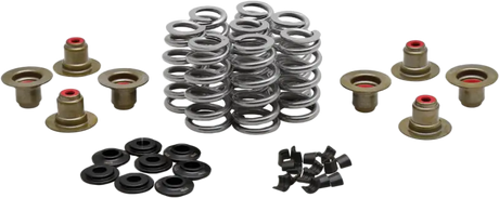 Beehive Valve Spring Kit .640 Lift M8`17 24 Non Vvt - KPMI