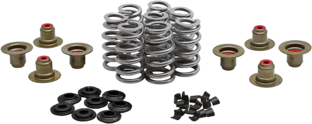 Beehive Valve Spring Kit .640 Lift M8`17 24 Non Vvt - KPMI