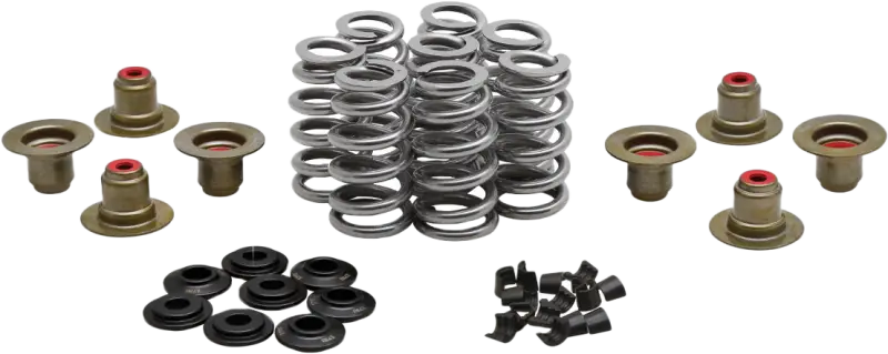 Beehive Valve Spring Kit .640 Lift M8`17 24 Non Vvt - KPMI