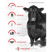 Beef sire directory displayed on Highway 21 489-0100S Hook Gloves Black Sm