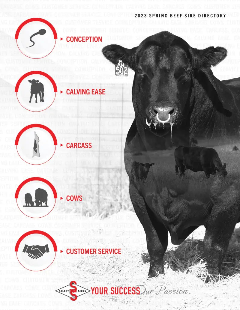 Beef sire directory displayed on Highway 21 489-0100S Hook Gloves Black Sm
