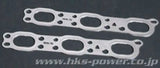 HKS 23009-AN010