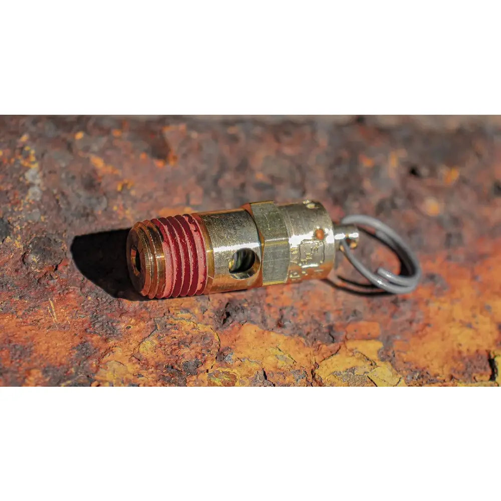 Hornblaster Safety Precaution Air Tank Blow Off Valve SV-175A - 175 Psi Blow-OFF