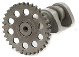 HOT CAMS Racing Cam Stage 2 for Powersports