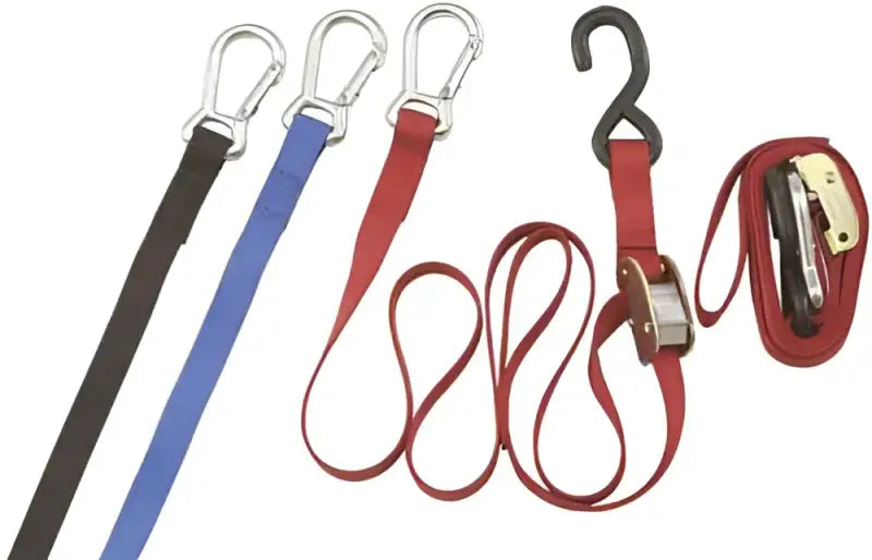HR101-10 High Roller Cam-Lock Tie-Downs (Black) 