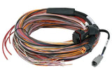 Haltech HT-188000 Haltech PD16 Flying Lead Harness 5M