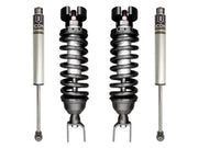 ICON K213001