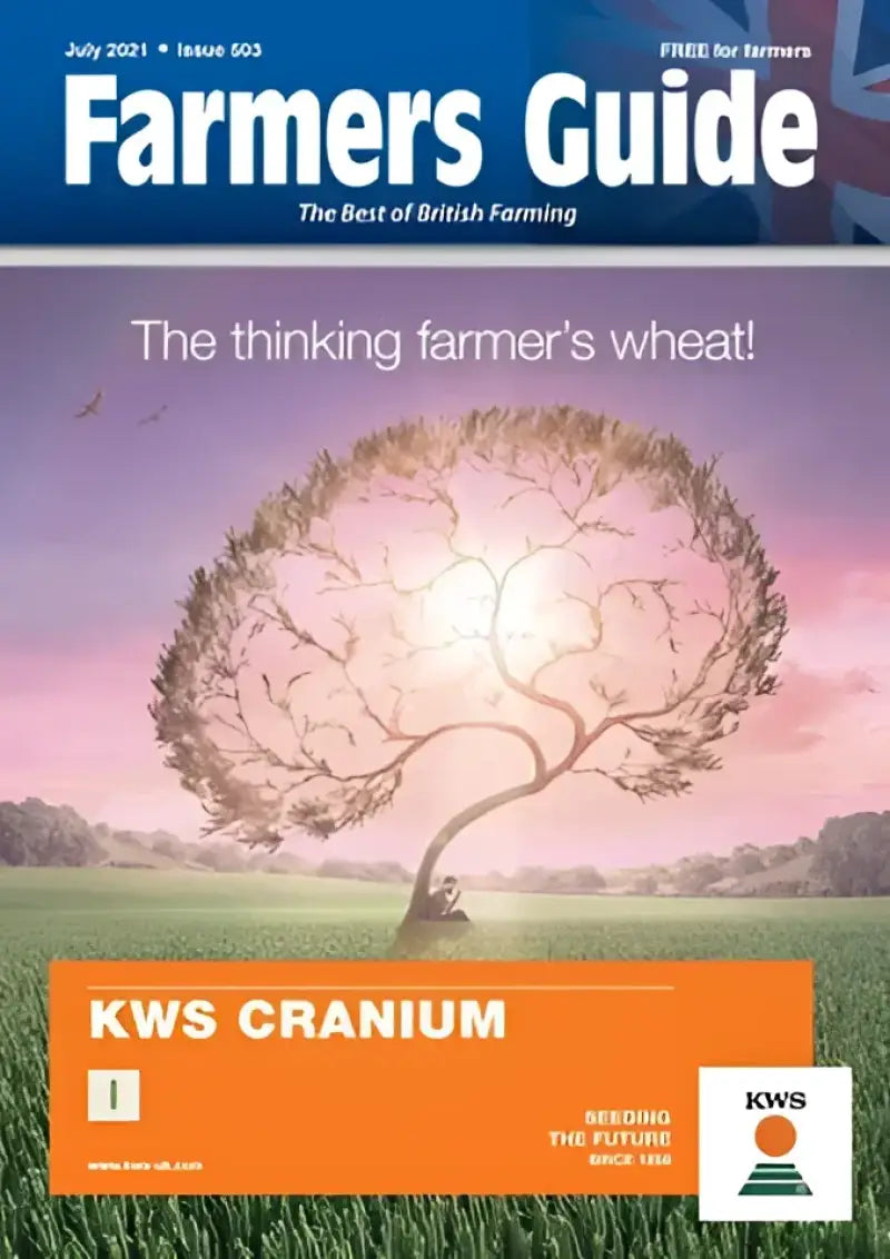 Ideal M-1500C-HR-BLK 1500 High Rise Cyc/Atv Lift W/Vise Balance Bar Air Yd. P - Stands/Lifts