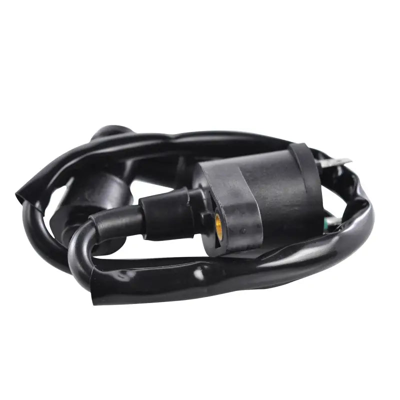 External Ignition Coil W/Spark Plug Cap - RM STATOR