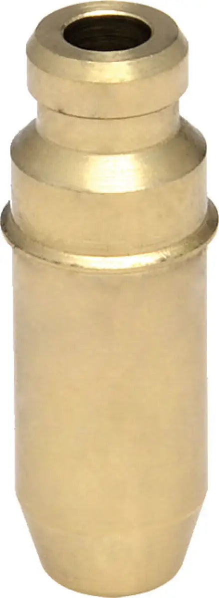 Intake/Exhaust Valve Guide (Bronze) - Powersports