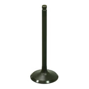 BRONCO Intake Valve for Powersports