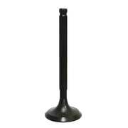 BRONCO Intake Valve for Powersports