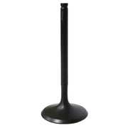 BRONCO Intake Valve for Powersports