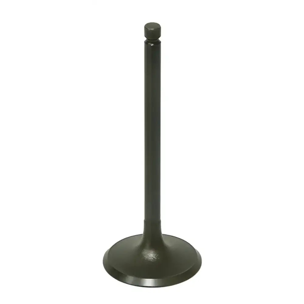 BRONCO Intake Valve for Powersports