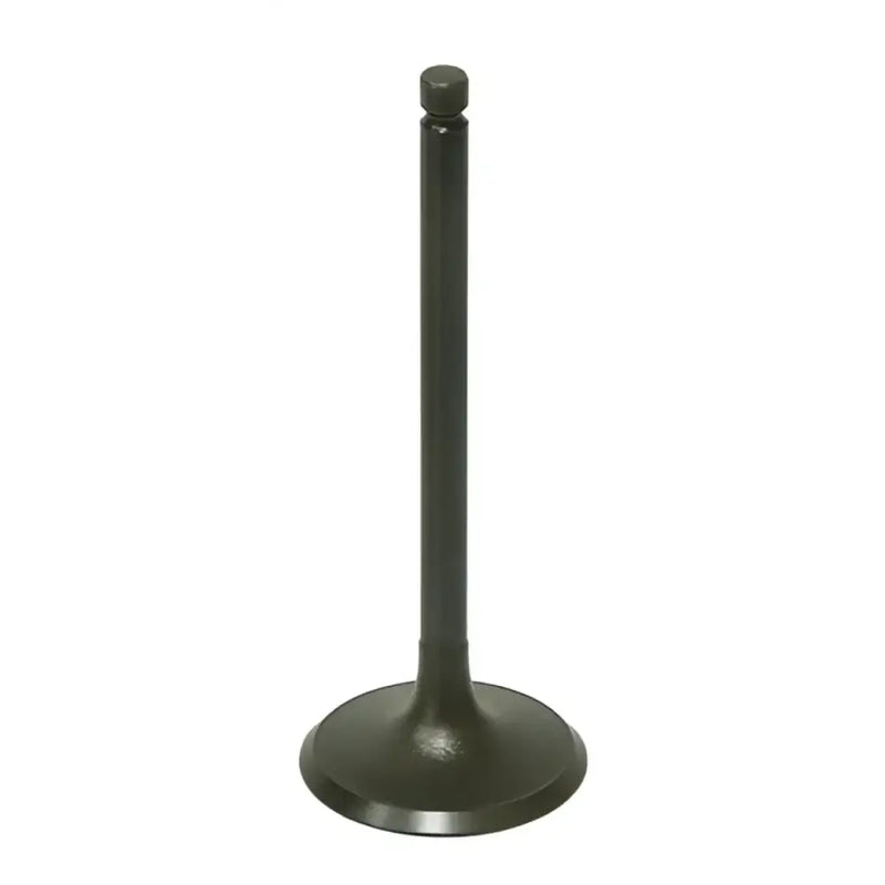 BRONCO Intake Valve for Powersports