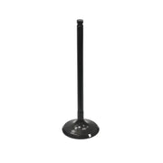 BRONCO Intake Valve for Powersports