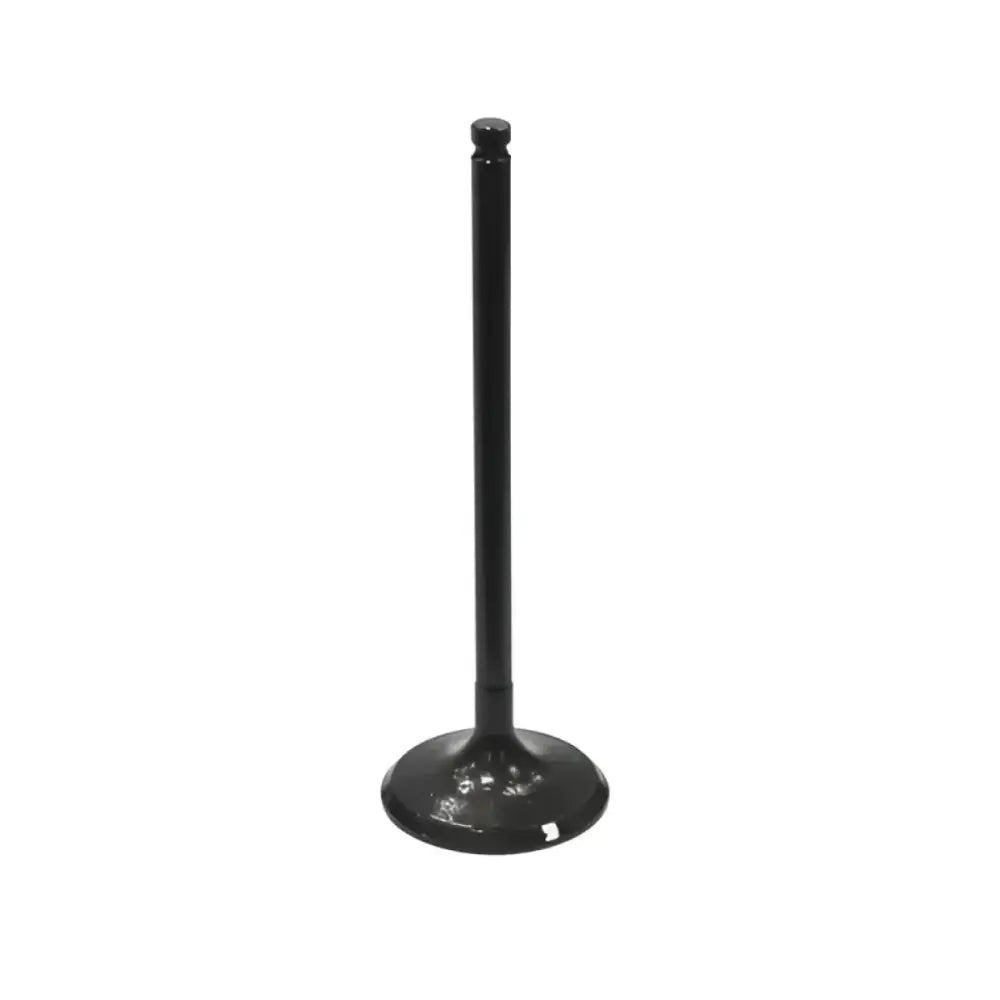 BRONCO Intake Valve for Powersports