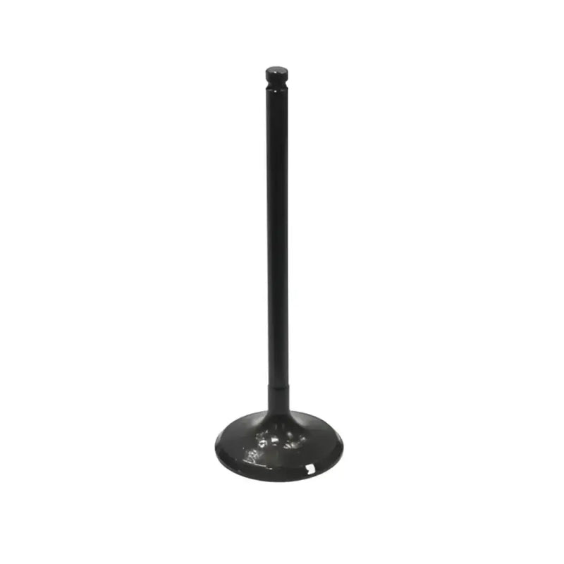 BRONCO Intake Valve for Powersports