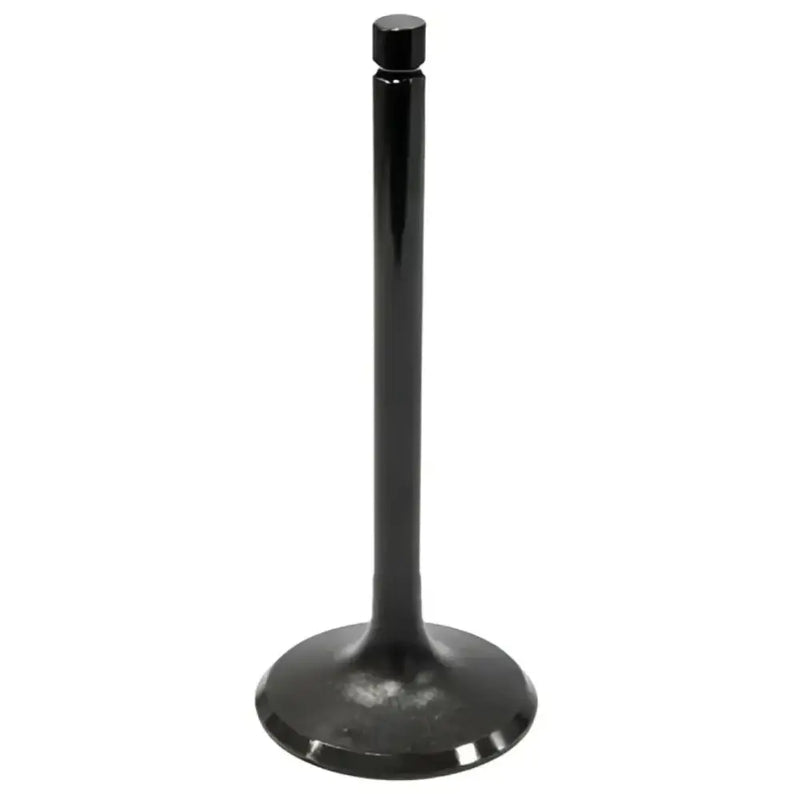 BRONCO Intake Valve for Powersports