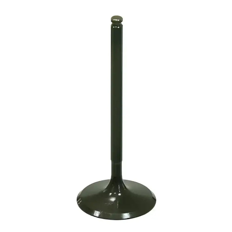 BRONCO Intake Valve for Powersports