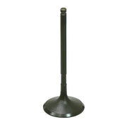 BRONCO Intake Valve for Powersports