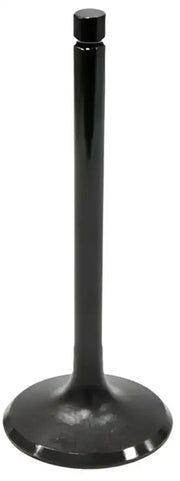 BRONCO Intake Valve for Powersports