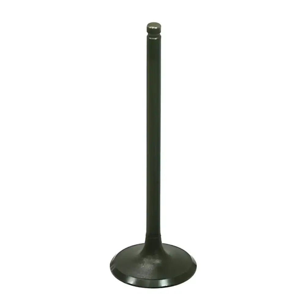 BRONCO Intake Valve for Powersports