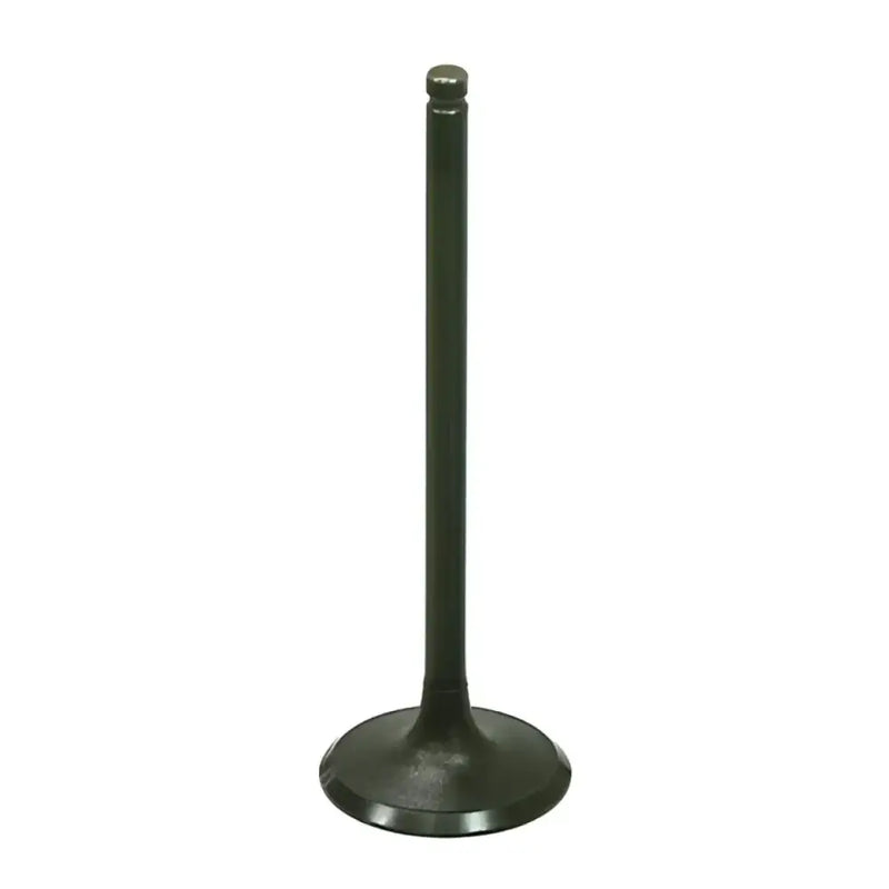 BRONCO Intake Valve for Powersports
