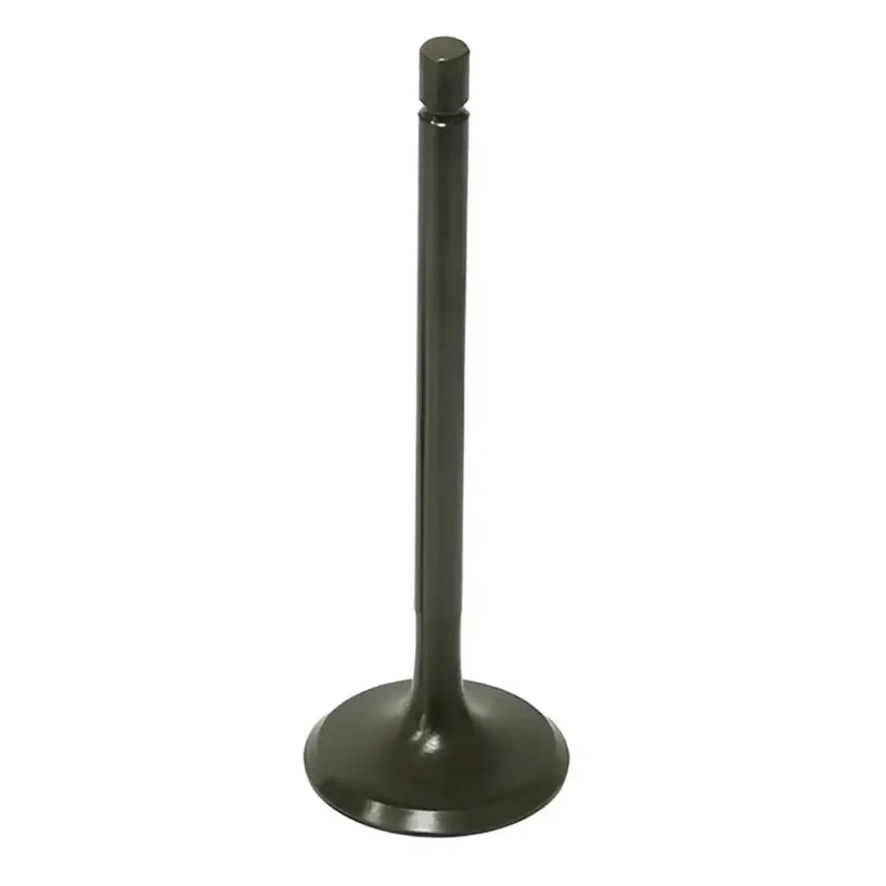 BRONCO Intake Valve for Powersports