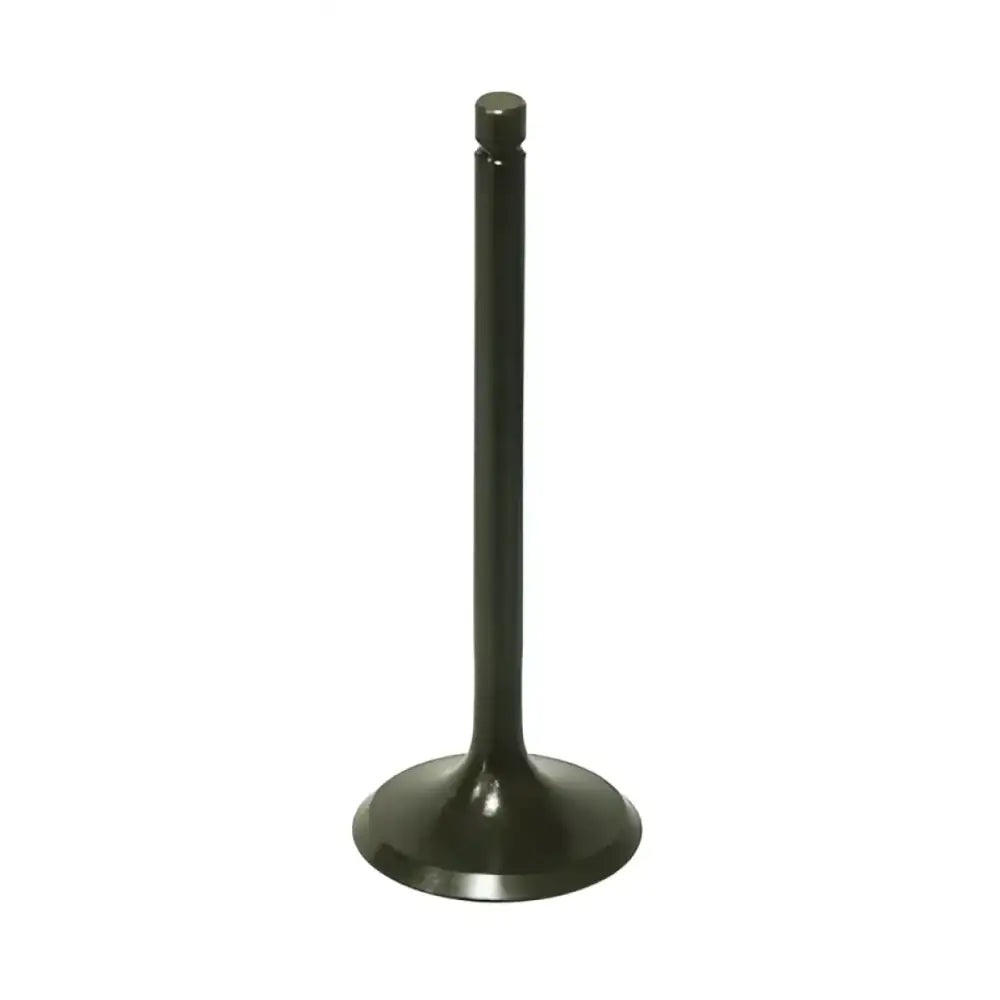 BRONCO Intake Valve for Powersports
