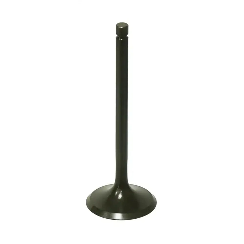 BRONCO Intake Valve for Powersports