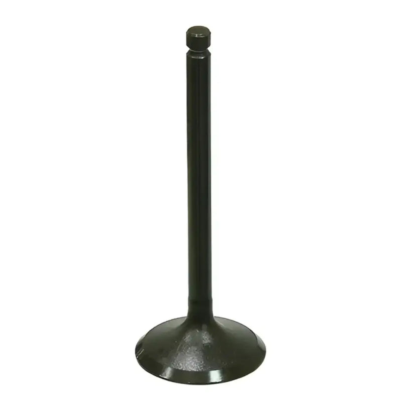 BRONCO Intake Valve for Powersports