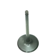 BRONCO Intake Valve for Powersports
