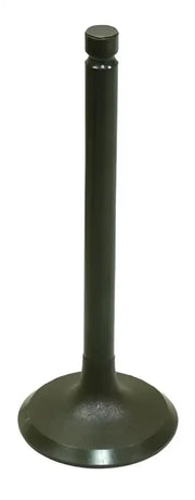 BRONCO Intake Valve for Powersports