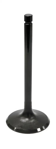 BRONCO Intake Valve for Powersports