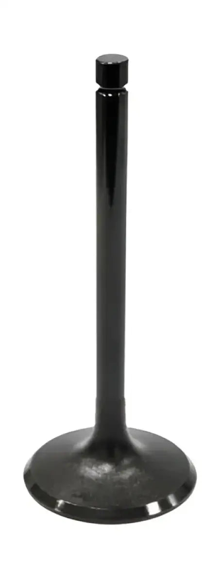 BRONCO Intake Valve for Powersports