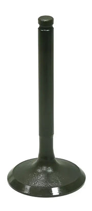 BRONCO Intake Valve for Powersports